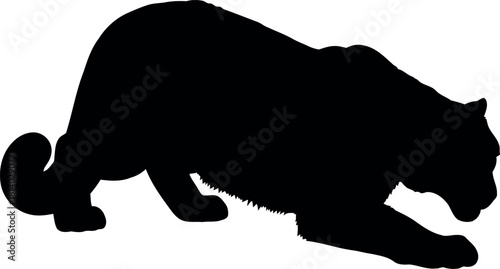 Black panther silhouette stealthy predator