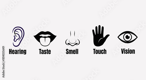 Human Senses Displaying Hearing, Taste, Smell, Touch, and Vision in a Clean White Environment for Education and Medical Presentations, Showing Sensory Perception for Healthcare and Biology Studies, Il