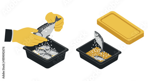 Isometric fish marinating process with hands and kitchen containers