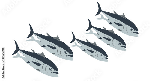 School of tuna fish in minimalist flat style on white background