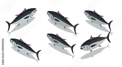 Isometric tuna fish design featuring multiple swimming fish with shadows