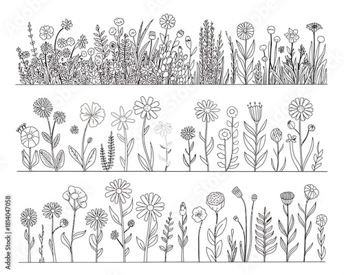 Hand drawn floral illustrations in three horizontal bands