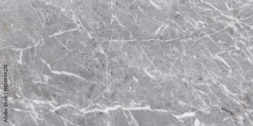Naklejka premium Beautiful high resolution grey quartz stone texture for your design.