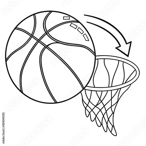 A line art vector of the carotid artery, illustrating this major neck artery for circulatory concepts.