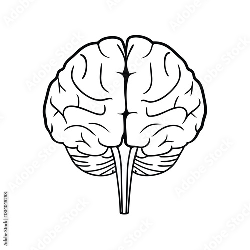 A line art vector of the frontal lobe, illustrating this largest region of the brain with minimal lines.