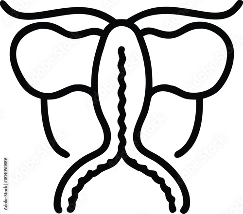 A retro vector diagram of the epididymis, illustrating male reproductive anatomy in a vintage medical style.