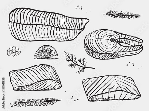 Hand drawn salmon fish cuts with herbs, lemon, berries, pepper. Vector sketch illustration in vintage crayon charcoal style. Salmon steak, seafood, restaurant menu