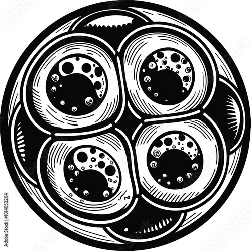 A vector illustration of human fat cells (adipocytes), illustrating adipose tissue and cellular biology.