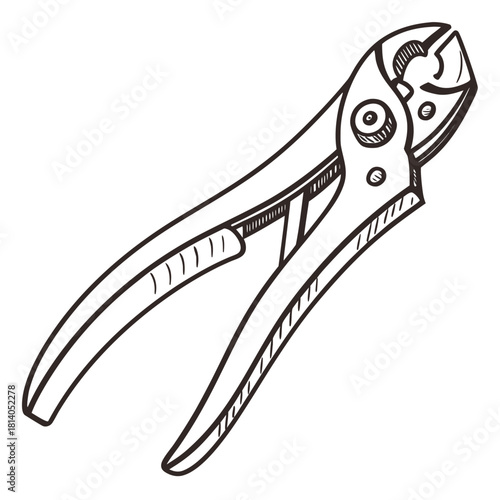 A vector illustration of the cuticle fold, illustrating nail anatomy and dermatological structure.