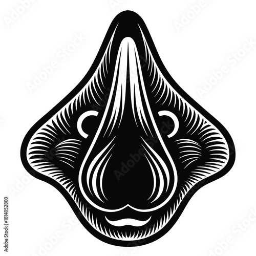 A vibrant vector of the nasal septum, illustrating the structure separating the nostrils with bold color.