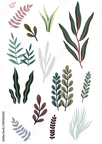 set of  JUNGLE LEAVES