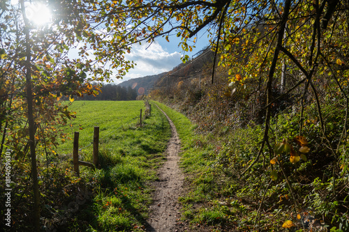 winter walking in sooting nature with memories from the past