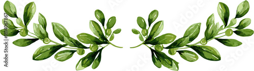 symmetrical watercolor decoration of olive branches