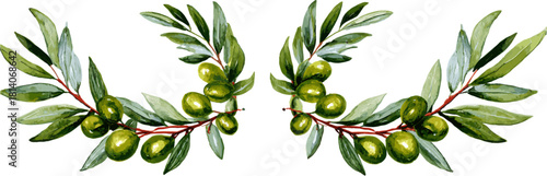 Curved watercolor decoration of olive branches with green mistletoe berries