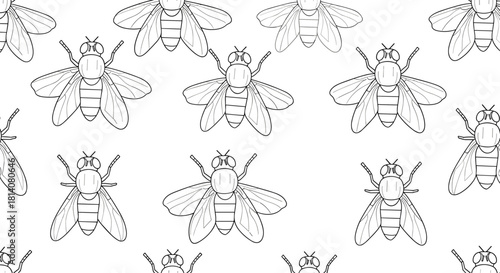 Seamless black and white pattern featuring stylized line art illustrations of flies with varied outlines and intricate details on a clean background.