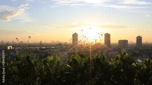 Morning video background on the rooftop of a condo, where the golden light of the morning sun reflects in a blurred bokeh with a garden and beautiful leaves.