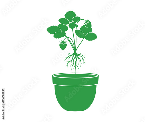 A hand-drawn vector illustration featuring a green outline of a small strawberry plant with roots being transplanted into a pot, set against a white background.

