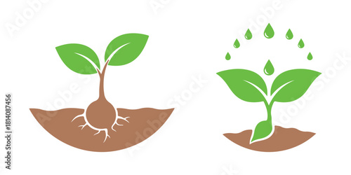 Plant Image. Growing, Organic, Farming, Sowing, Nature
