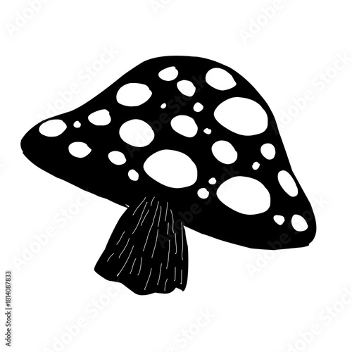 Spotted Amanita Mushroom Fungus Illustration