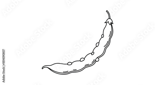 A simple black and white line drawing illustration of a single green bean pod, showing the bumps of beans inside.