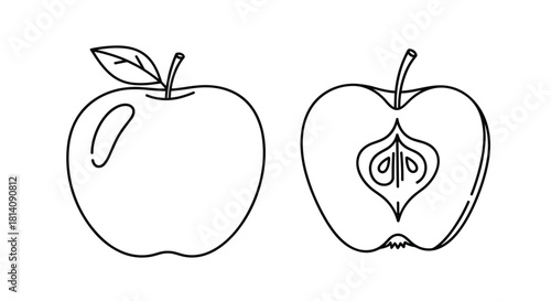 Black and white line art illustration of a whole apple with a leaf and a stem, alongside a cross-section revealing the core and seeds.