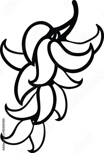 Jade Vine cluster with flowing pendulous flowers