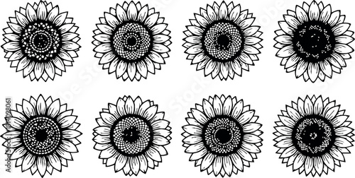 Black and white sunflower line art vector with varied shading and petal designs for floral illustration and decoration
