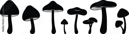 Mushroom Silhouette Vector Set; Diverse Shapes of Wild Fungi, Toadstools, and Forest Plants for Nature, Botany, Fall, and Abstract Design Elements