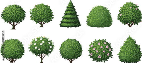 Collection of Decorative Green Garden Bushes and Flowering Shrubs Vector Illustration Isolated on White