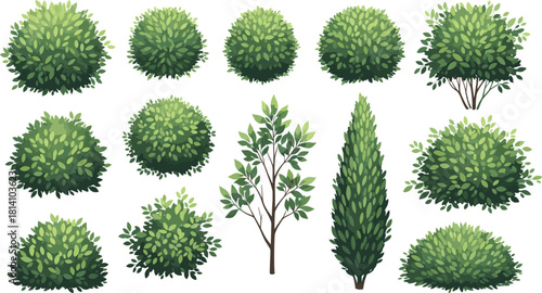 Collection of lush green bushes and shrubs illustrated in detailed botanical style for landscape design, gardening projects, and nature vector artwork