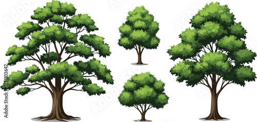 Collection of Different Green Trees and Bushes Vector Illustration Isolated on White Background