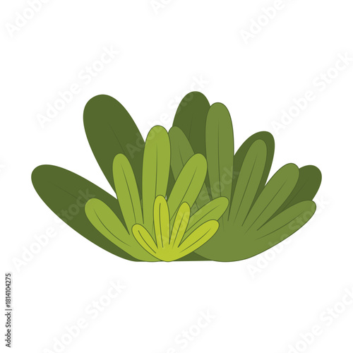 Nature bush blossom decorative plants. green bush leaf flat design for decorate, featuring garden shrubs and landscaping, vector illustration