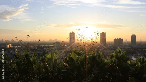 Morning video background on the rooftop of a condo, where the golden light of the morning sun reflects in a blurred bokeh with a garden and beautiful leaves.