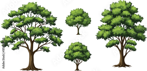 Set of lush green trees detailed in natural botanical style for landscape design and nature illustration projects, high-quality vector artwork