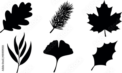 Black silhouette autumn leaves and pine needles vector isolated on white background simple design for decoration and nature projects