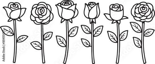 Different Type Hand Drawn Rose Line Art Vector Set Pack