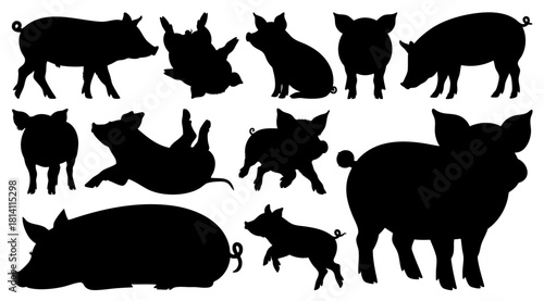 Farm Animal Pigs and Piglets Silhouettes Set in Various Pose, Transparent Background