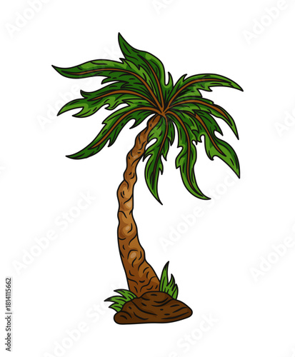 Palm tree. Summer beach green tropical plant, leaf, exotic nature coconut bright exotic object. Botanical decorative landscape design element. Vector cartoon isolated rainforest greenery illustration