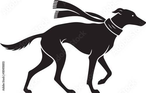 Elegant Black Greyhound or Whippet Dog Silhouette with Scarf, Graphic Illustration of a Running Sighthound Pet
