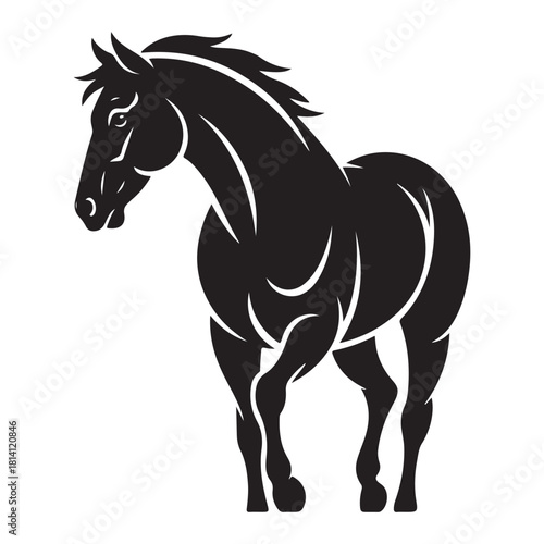 Horse Vector