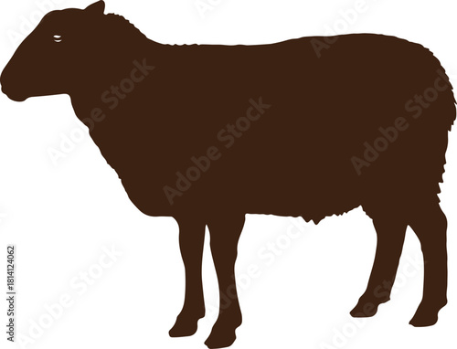 Sheep vector silhouette vector