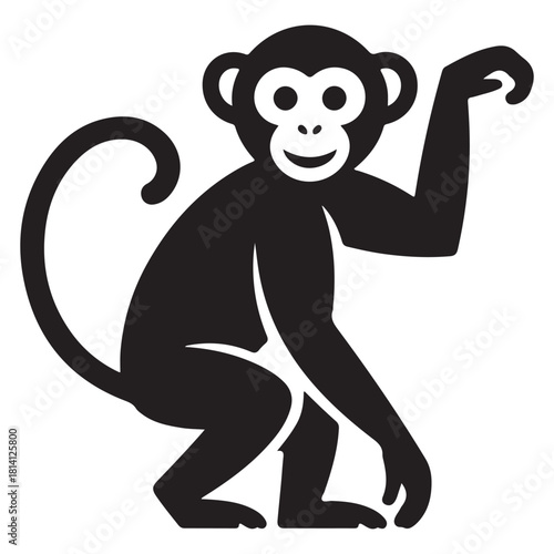 Monkey Vector 