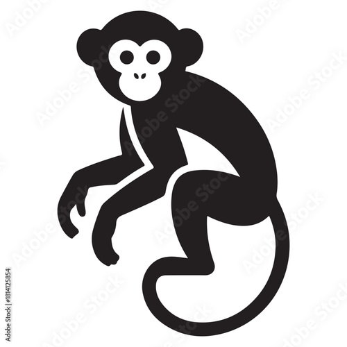 Monkey Vector 