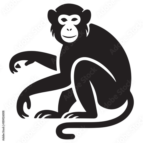 Monkey Vector 