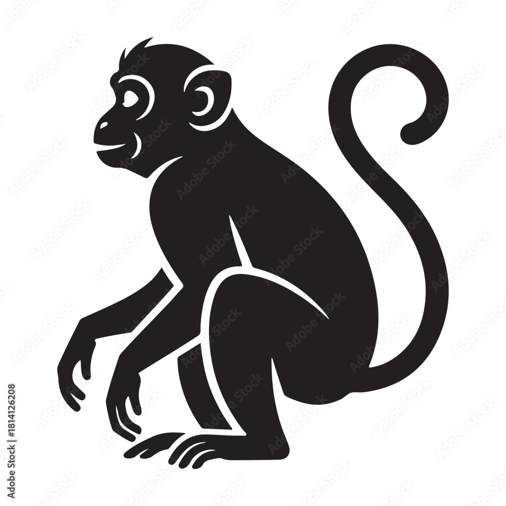 Obraz premium Monkey Vector