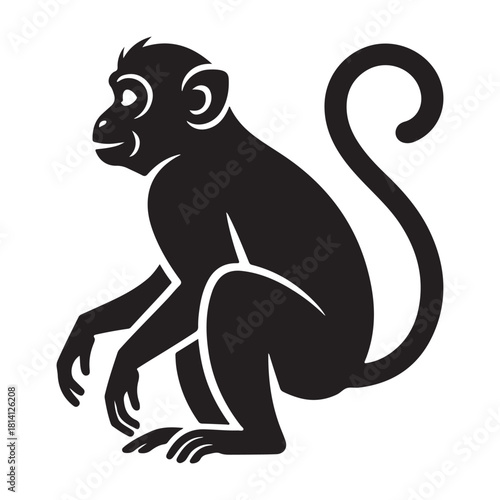 Monkey Vector 