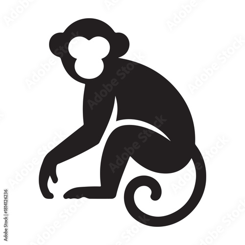 Monkey Vector 