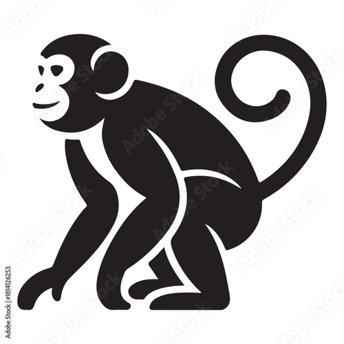 Monkey Vector 