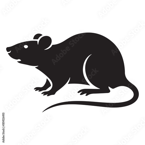 Rat Vector 