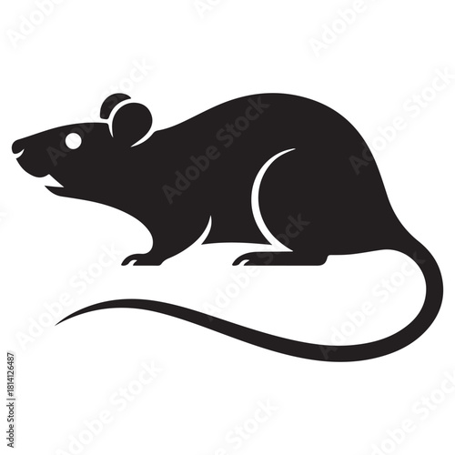 Rat Vector 